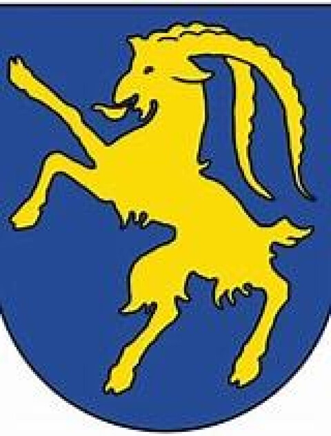 Preiswertes Grundstück mit Potential - Hohenems Reute