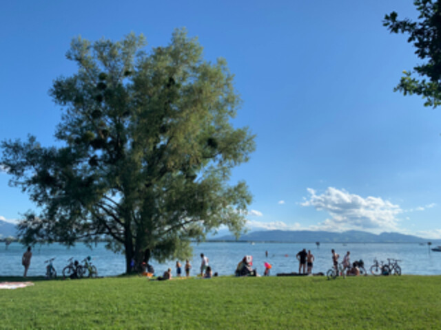 Grosszügige helle 4,5 Zi-Wohnung, zentral in Hörbranz - ohne Provision!