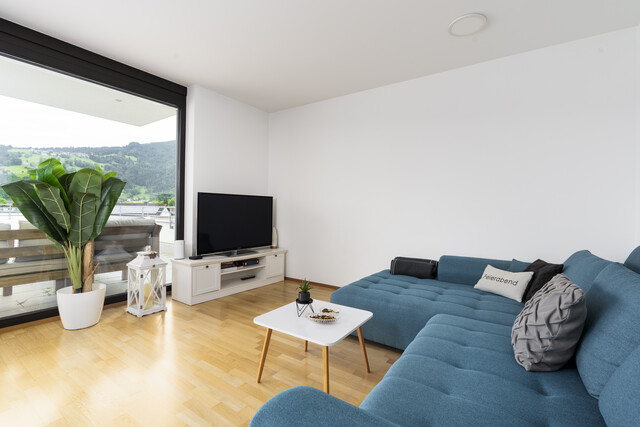 Atemberaubende Wohnung über den Dächern Dornbirn´s - 149qm Terrasse! 