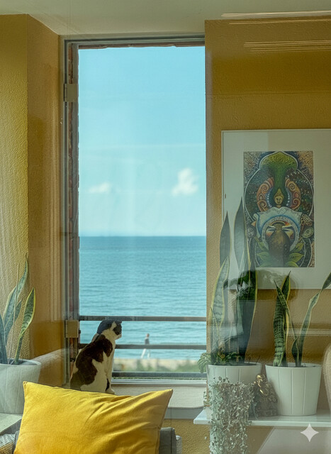 Exklusives Wohnen am Bodensee – Seesicht inklusive!