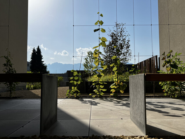 2 Zimmer-Gartenwohnung | Feldkirch