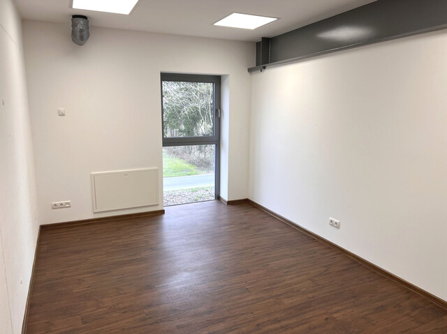 Halle in Lustenau mit perfekter Grenzlage