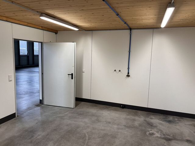 Halle in Lustenau mit perfekter Grenzlage