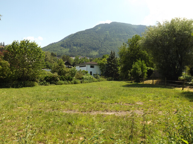 Tolles Baugrundstück mit vielfältigen Teiflächen möglich! Sie haben die Wahl!