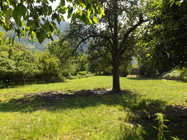 Tolles Baugrundstück mit vielfältigen Teiflächen möglich! Sie haben die Wahl!