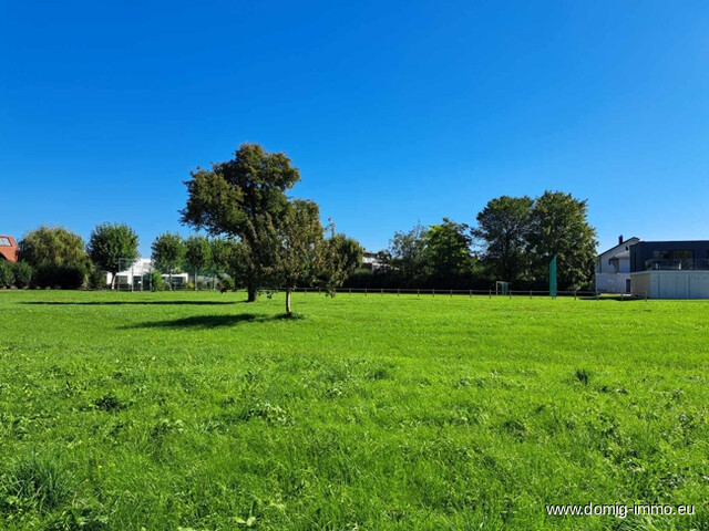 Wunderbares Baugrundstück, sonnig und ruhig gelegen mit 719m² in der Bodenseegemeinde Höchst!