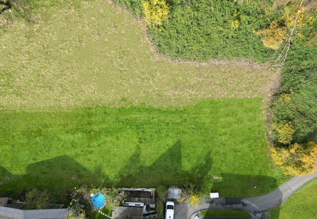 1.598 m² Naturidylle mit
perfekter Anbindung