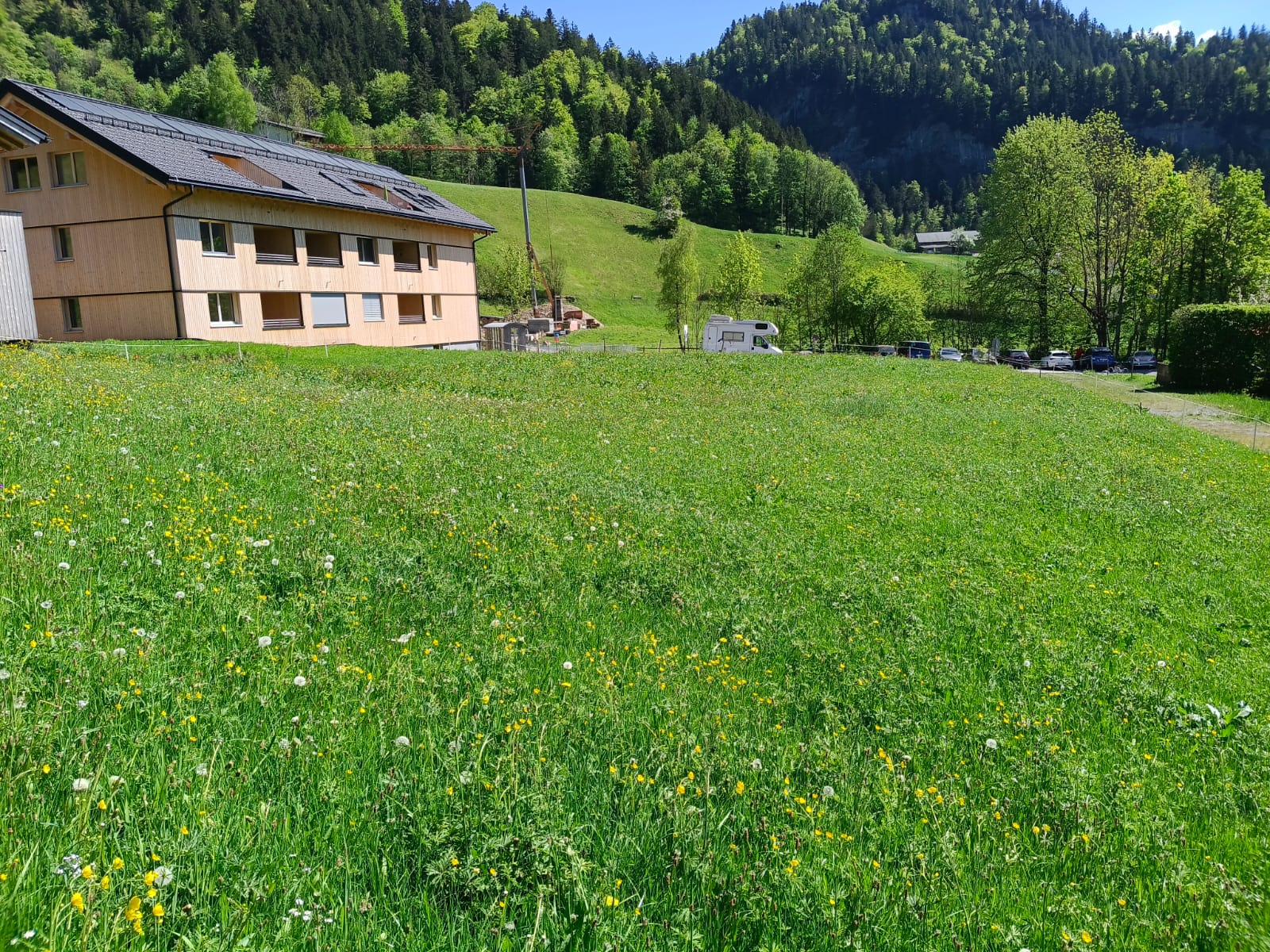 Sonniges Baugrundstück in Bezau zu verkaufen