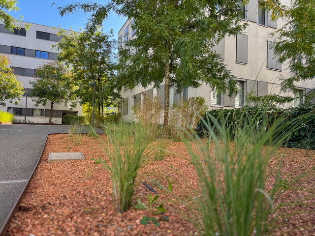 HOCHINTERESSANT! GESUCHT, BEGEHRT UND WERTBESTÄNDIG!