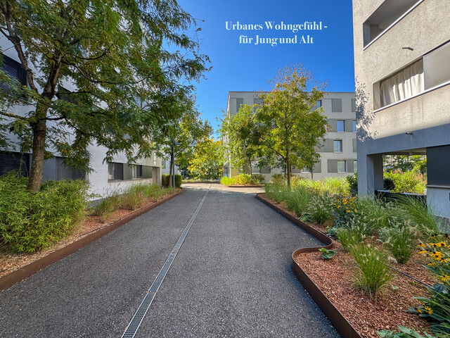 HOCHINTERESSANT! GESUCHT, BEGEHRT UND WERTBESTÄNDIG!