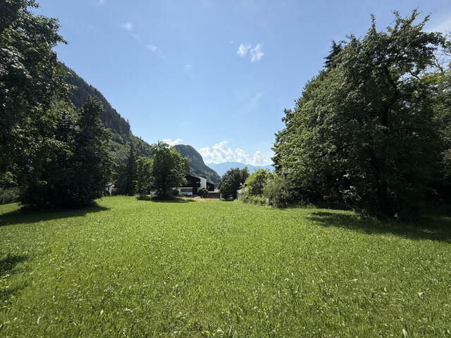 Grundstück  |  Götzner Berg  |  2.525 m²