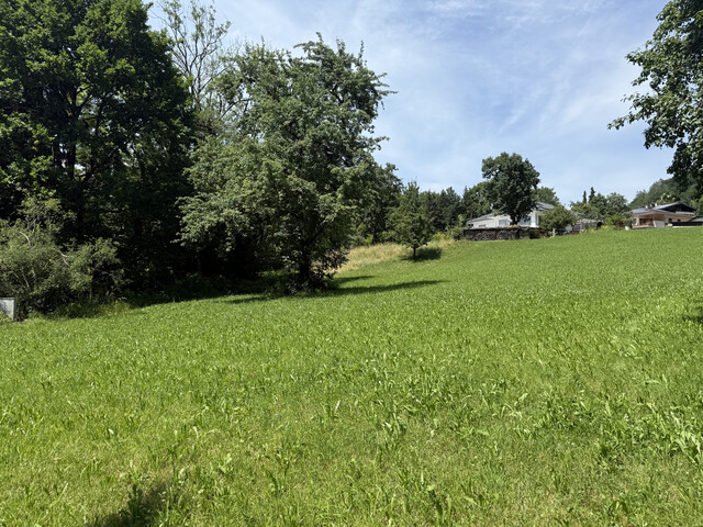 Grundstück  |  Götzner Berg  |  2.525 m²