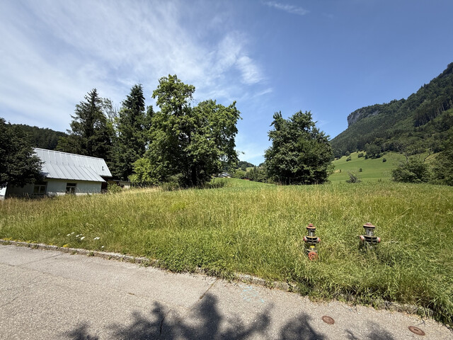 Grundstück  |  Götzner Berg  |  2.525 m²