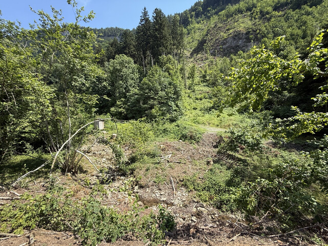 Grundstück  |  Götzner Berg  |  2.525 m²