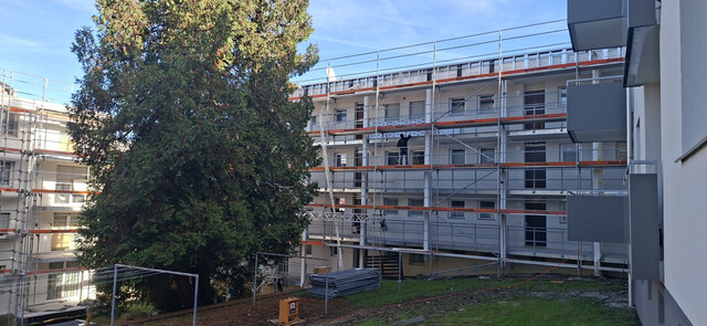 Bregenz - Wohnen in Seenähe! 3 Zimmer Ergeschosswohnung mit Sanierungsbedarf zu verkaufen!