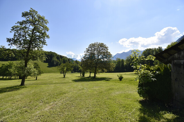 Seltene Gelegenheit in Gampelün!