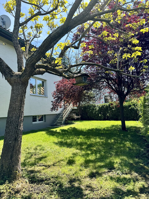 Schmuckstück! Einfamilienhaus in idyllischer Ruhelage in Dornbirn