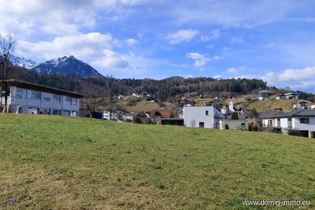 Wohnen auf höchstem Niveau – Neuwertiges Traumhaus mit kleinem Badeteich in Bestlage von Nenzing