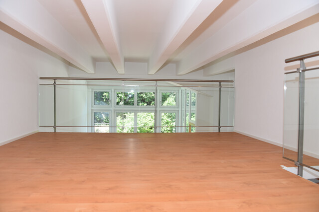 Erstbezug: Tolles Loft mit Blick zur Ill