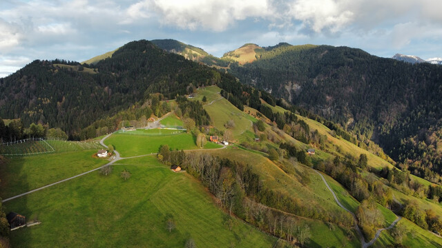 Über dem Rheintal – Ruhe, Weite, Natur