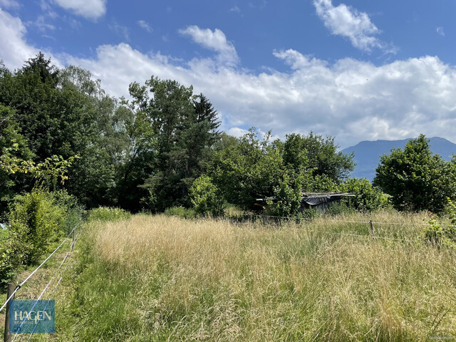 Lustenau - Naturnahe Grundstücke mit Altbestand zu verkaufen!