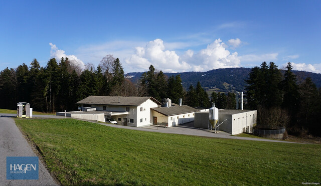 Gewerbebetrieb   "s'Wälder Hennele in Sulzberg zu verkaufen"
