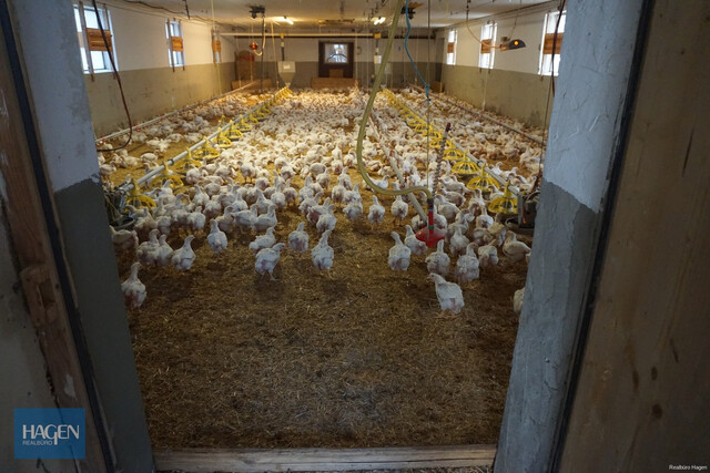 Gewerbebetrieb   "s'Wälder Hennele in Sulzberg zu verkaufen"