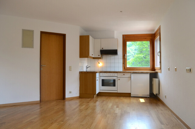 1 Zimmer Wohnung  | Anleger | Balkon |  Götzis