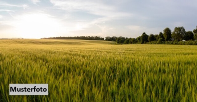 Land- und forstwirtschaftl. Hofstelle + provisionsfrei +