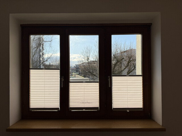 wohnen am Mehrerauer Wald