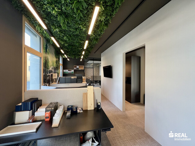 Repräsentative Büro- bzw. Praxisfläche in zentraler Lage von Hohenems zur Vermietung!