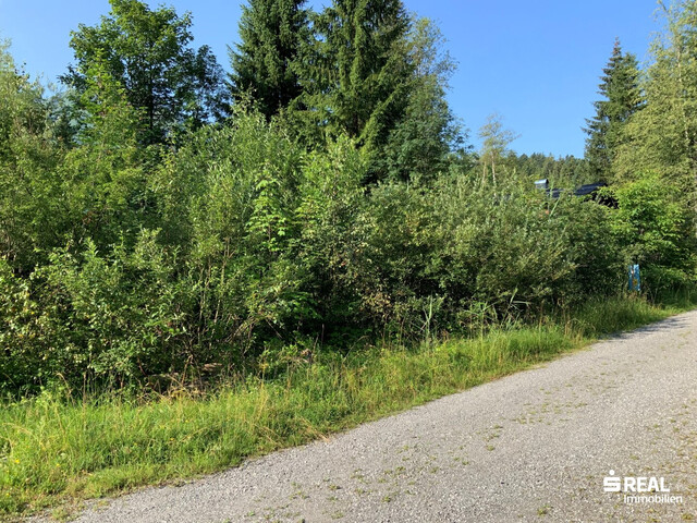Grundstück mit Ferienwidmung in der Natur