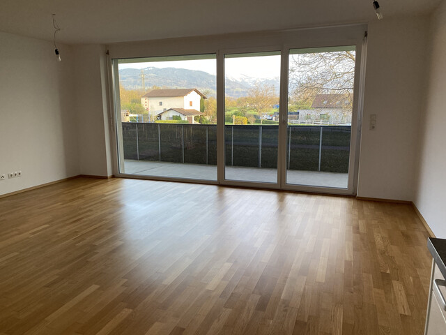 2-Zi-Wohnung mit Terrasse 2.OG - gewaltige Aussicht