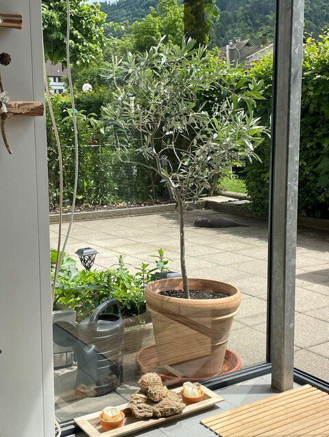 Helle 3-Zimmer-Wohnung im Zentrum von Hörbranz📍 Lage: Zentral gelegen – alle öffentlichen Einrichtungen (Gemeindeamt, Schule, Bank, Post, Bushaltestelle) sind innerhalb von 2 Minuten zu Fuß erreichbar.