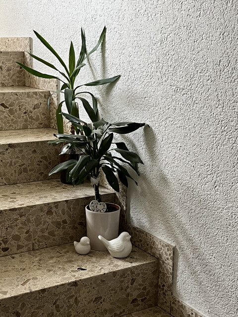 Traumwohnung in einzigartiger Seelage 