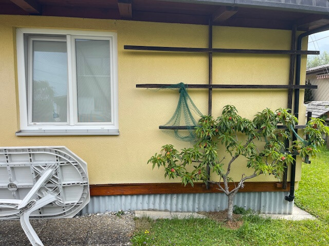 Erfüllen Sie sich den Traum vom eigenen Ferienhaus am Bodensee!