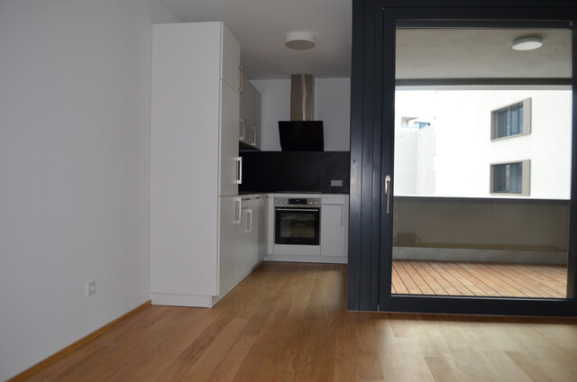 Schöne 2 Zimmerwohnung in Seenähe zu vermieten (verfügbar ab 1. Februar 2026)