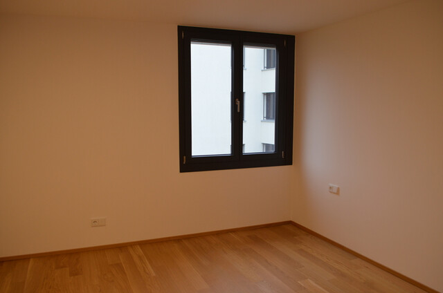 Schöne 2 Zimmerwohnung in Seenähe zu vermieten (verfügbar ab 1. Februar 2026)