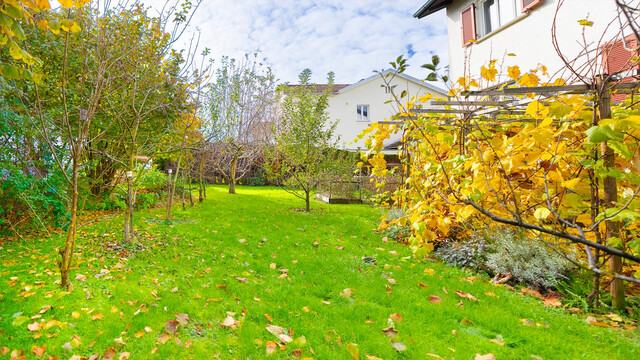 Altach | Gepflegtes Wohnhaus in ruhiger Lage