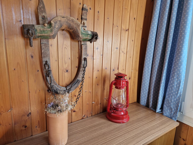 Erholsame Auszeit mit Blick ins Rheintal: Charmantes Ferienhaus in idyllischer Lage