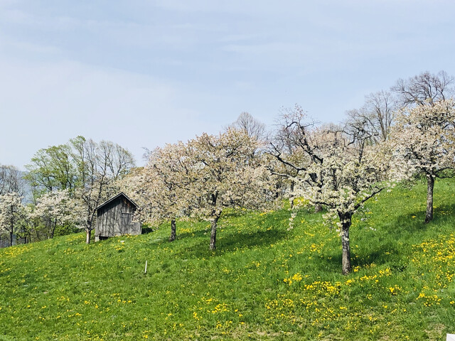 3 Zimmerwohnung mit Traumausicht 