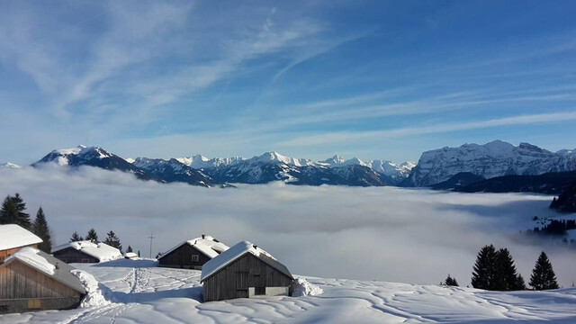 Ferienwohnung zwischen Arlberg und Bodensee 