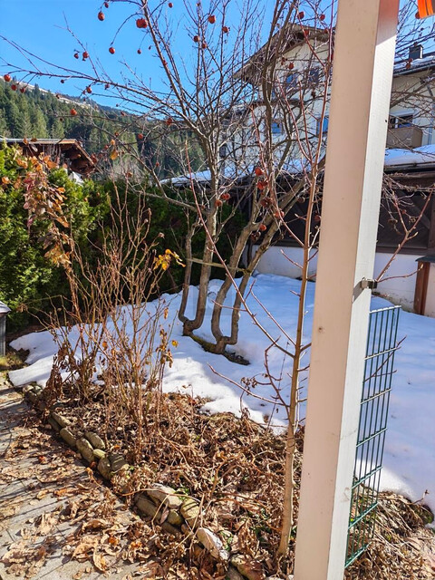 "MODERN LIVING" MIT EIGENEM GARTEN IN SONNIGER LAGE