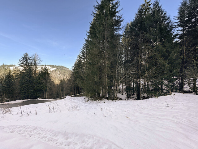 Baugrundstück mit Ferienwidmung in bester Lage in Schwarzenberg Bödele