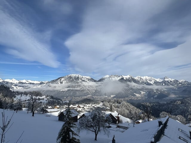 Chalet mit Ferienwohnsitz, Variante 1