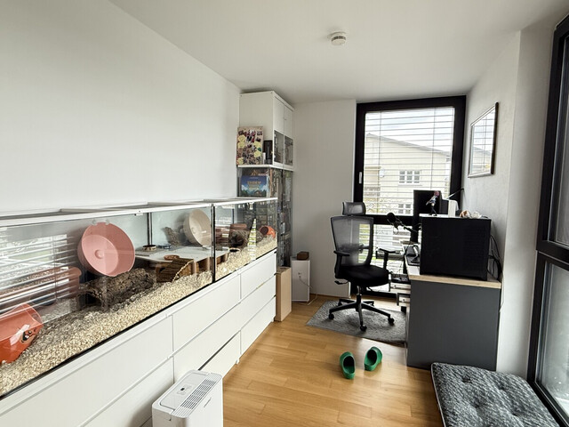 Helle 3-Zimmerwohnung in ruhiger Lage in Lustenau zu vermieten