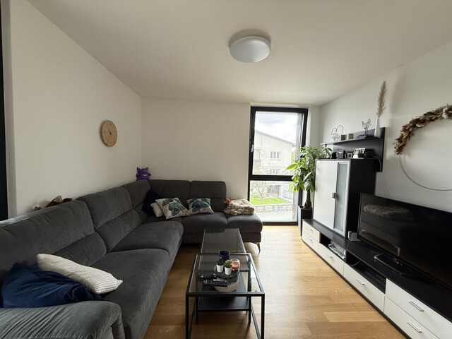 Helle 3-Zimmerwohnung in ruhiger Lage in Lustenau zu vermieten