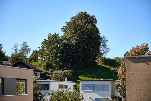 88 m² in Wolfurt | Terrasse |nur € 247 BK