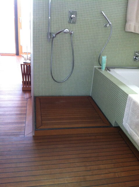 besondere 3-Zimmerwohnung BJ 2006, 93 m2,  1.OG und DG mit Dachterrasse 100 m2, bei Grenze zur CH