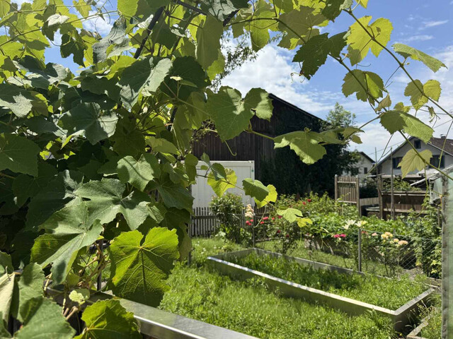 Doppelhaushälfte mit Potential und guter Lage sucht Handwerker